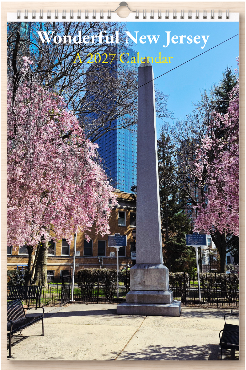 Wonderful New Jersey: A 2027 Calendar