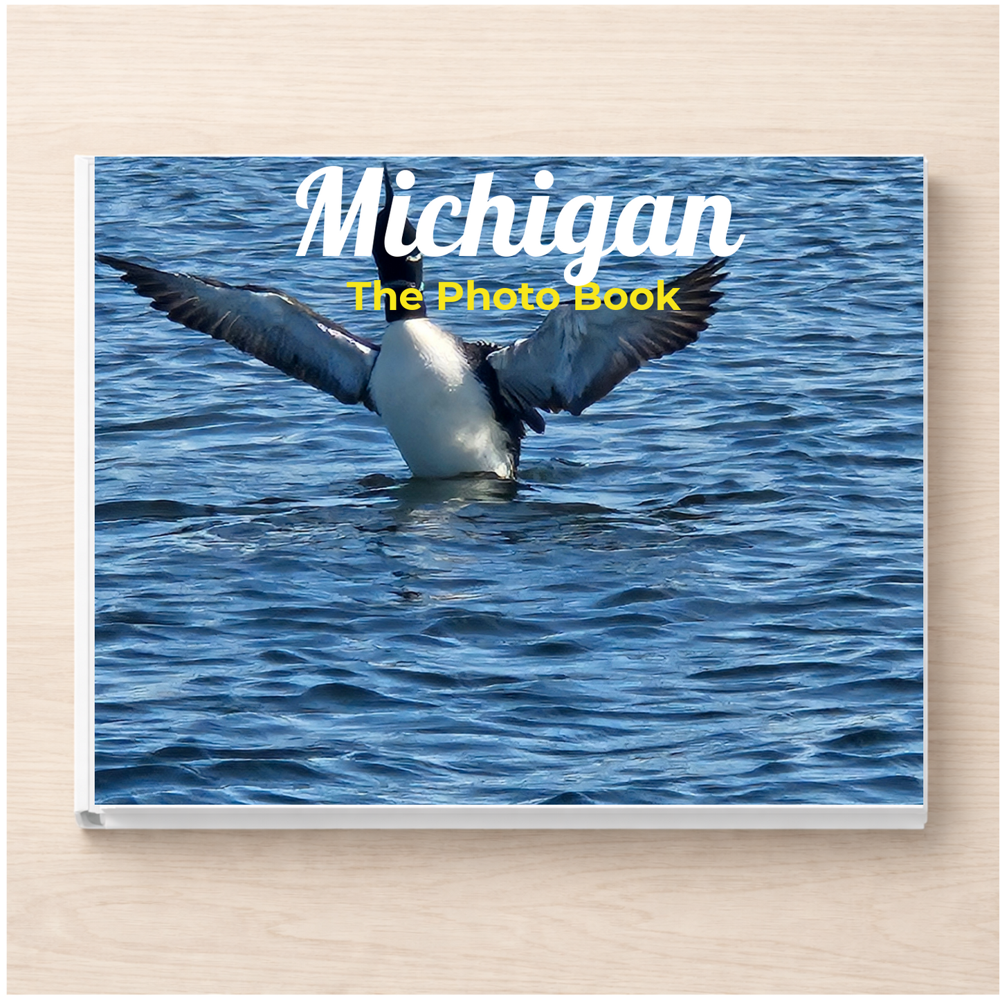 Michigan: The Photo Book