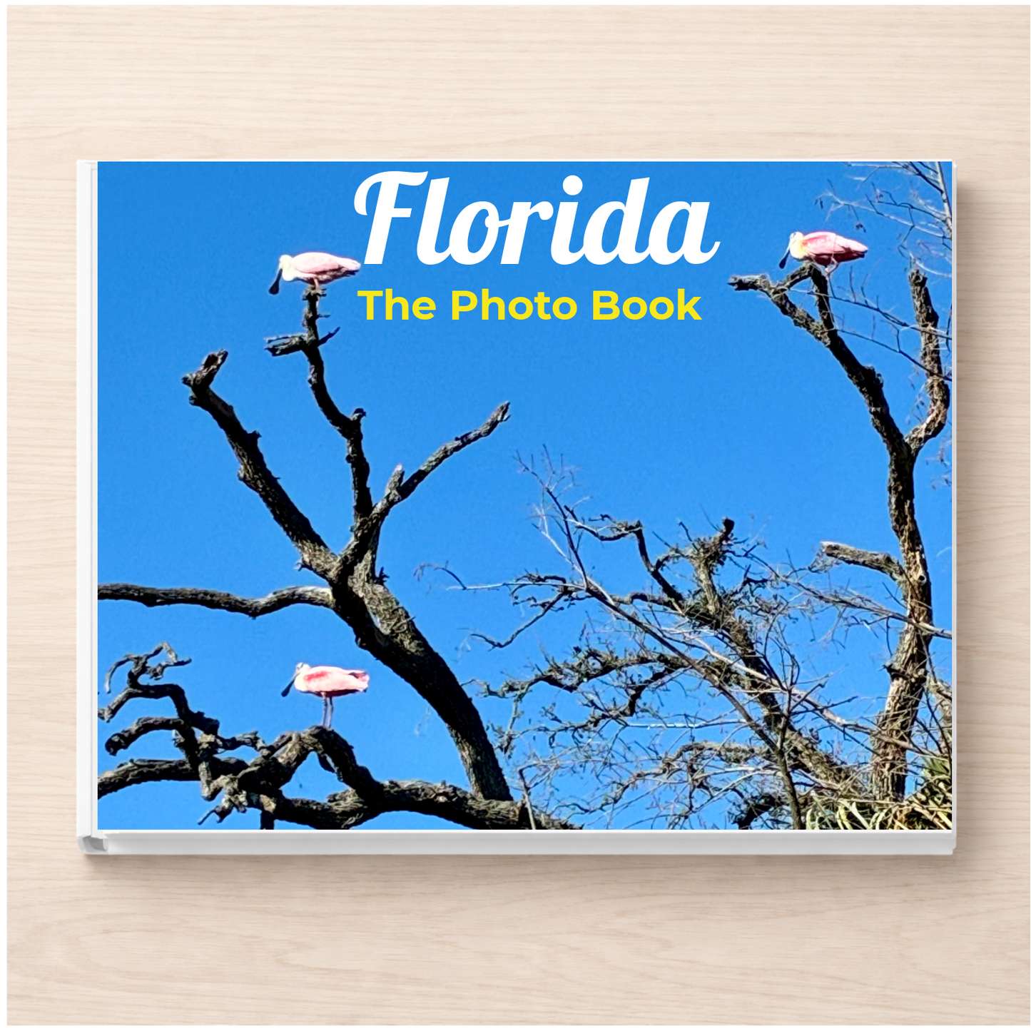 Florida: The Photo Book