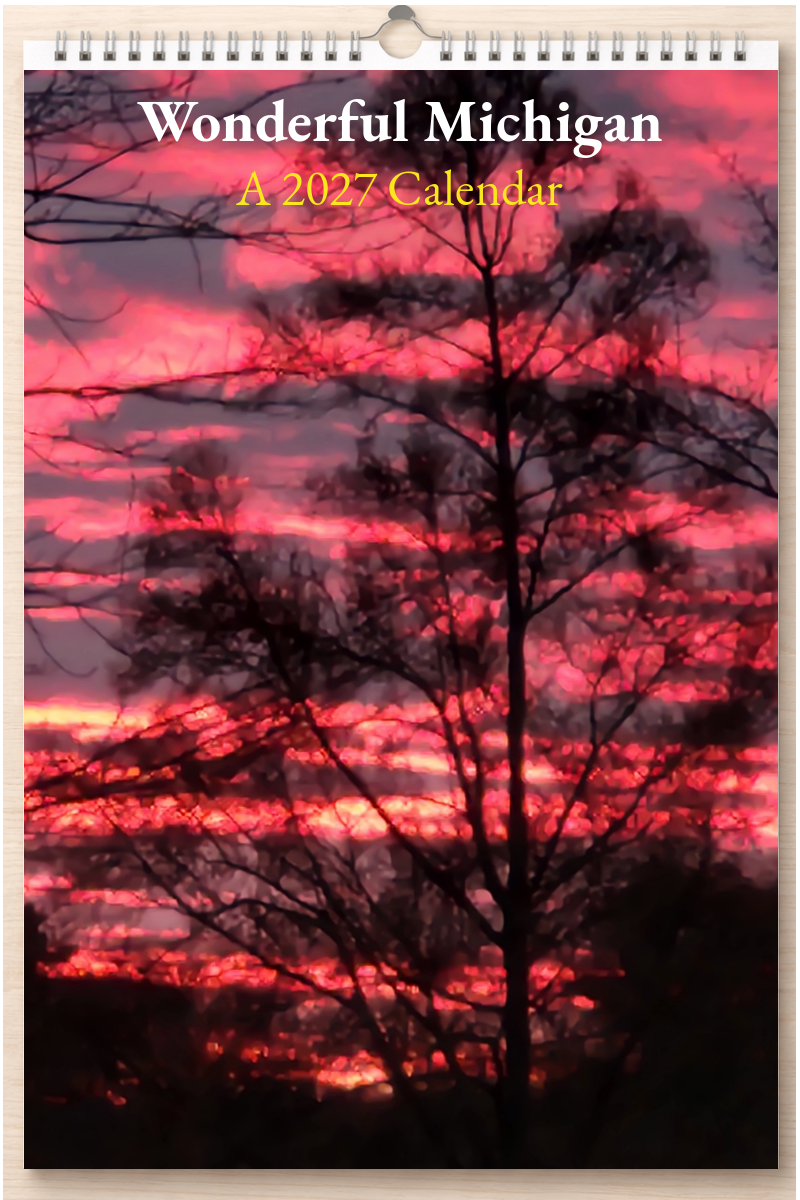 Wonderful Michigan: A 2027 Calendar