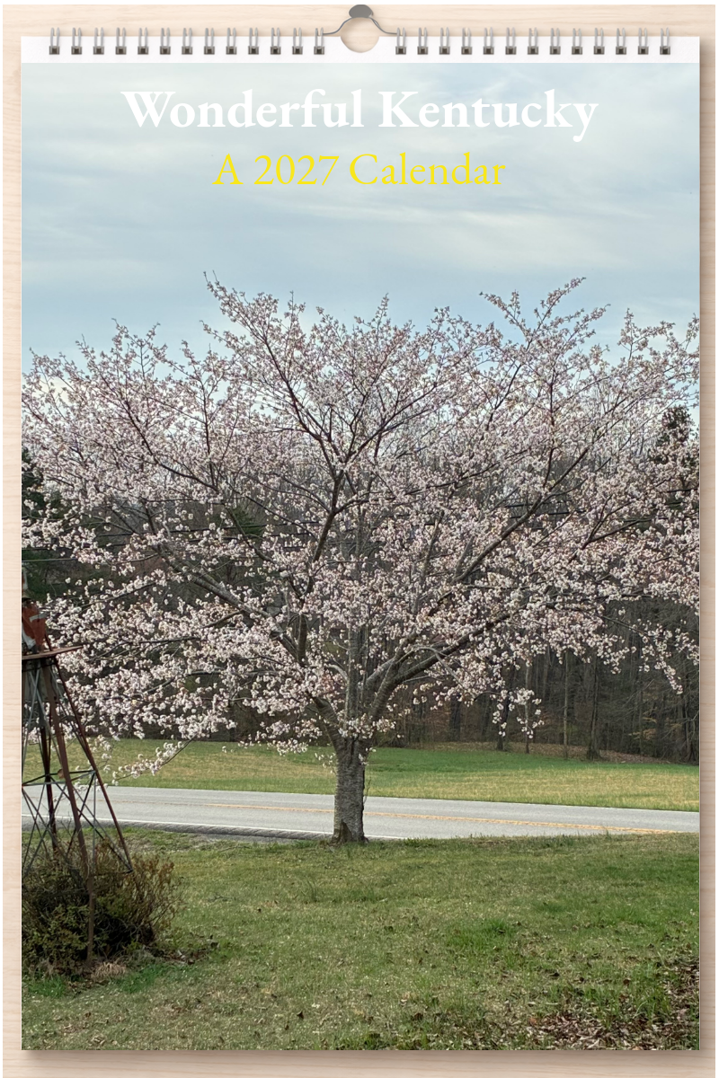 Wonderful Kentucky: A 2027 Calendar