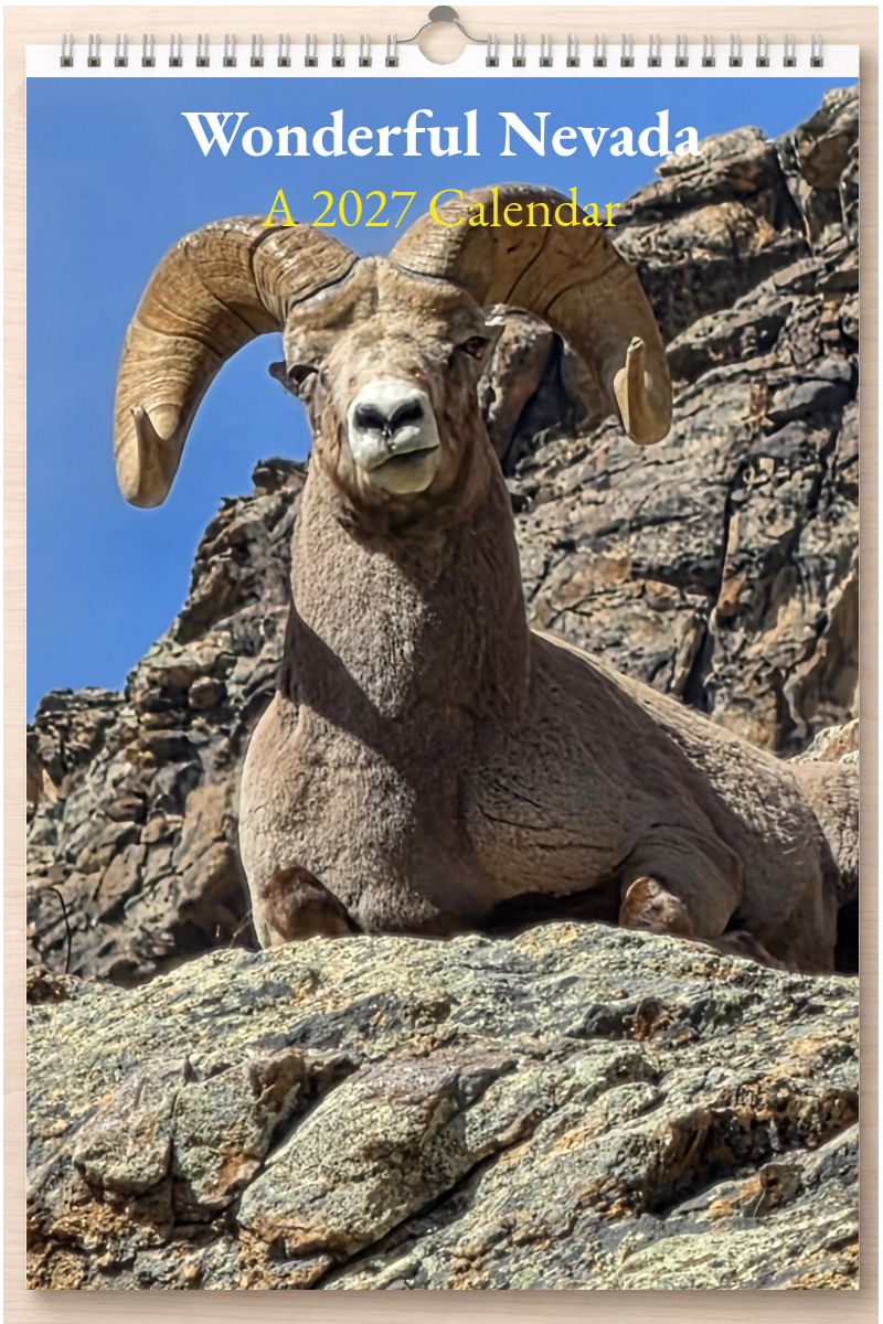 Wonderful Nevada: A 2027 Calendar
