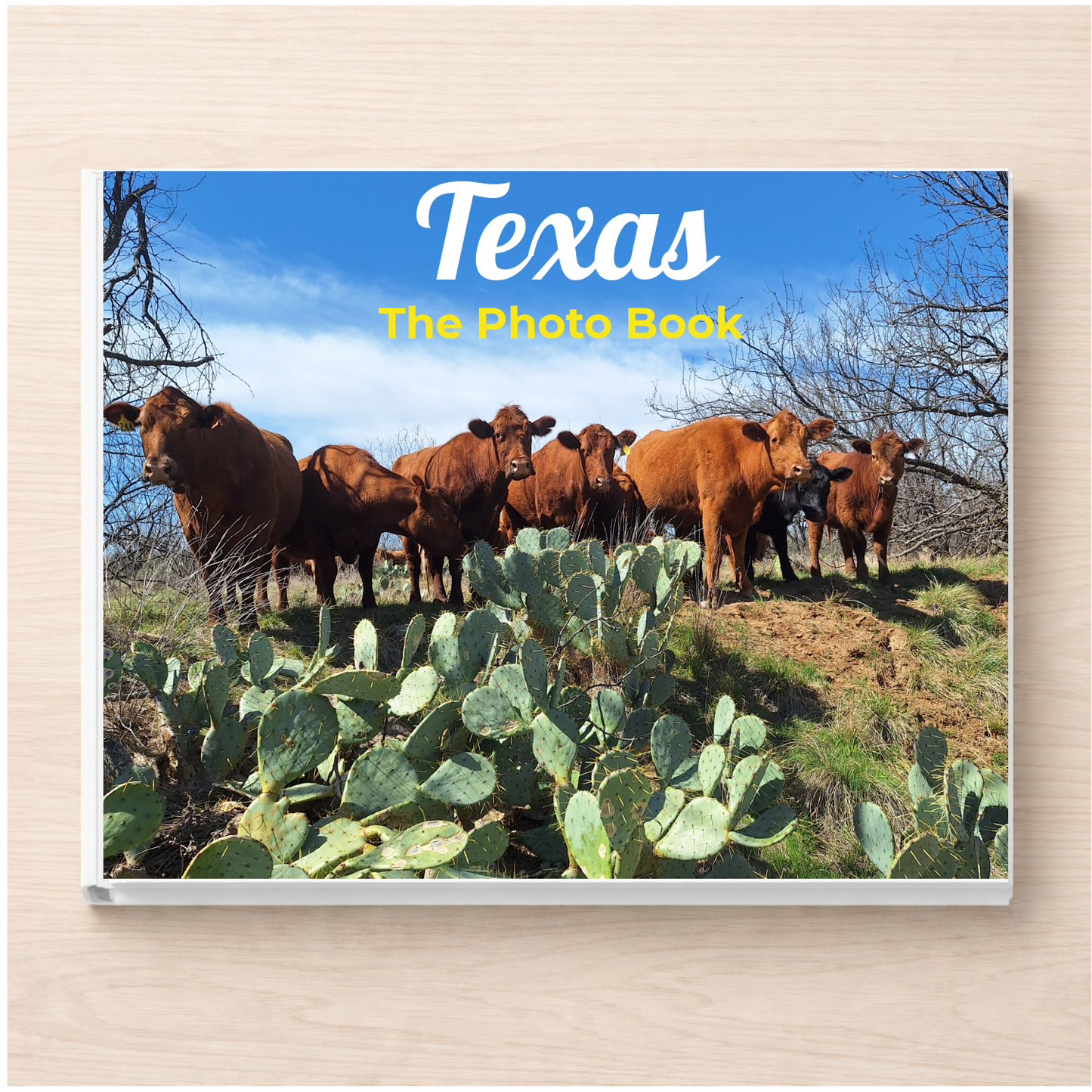 Texas: The Photo Book