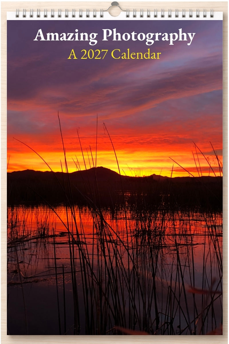 Amazing Photography: A 2027 Calendar