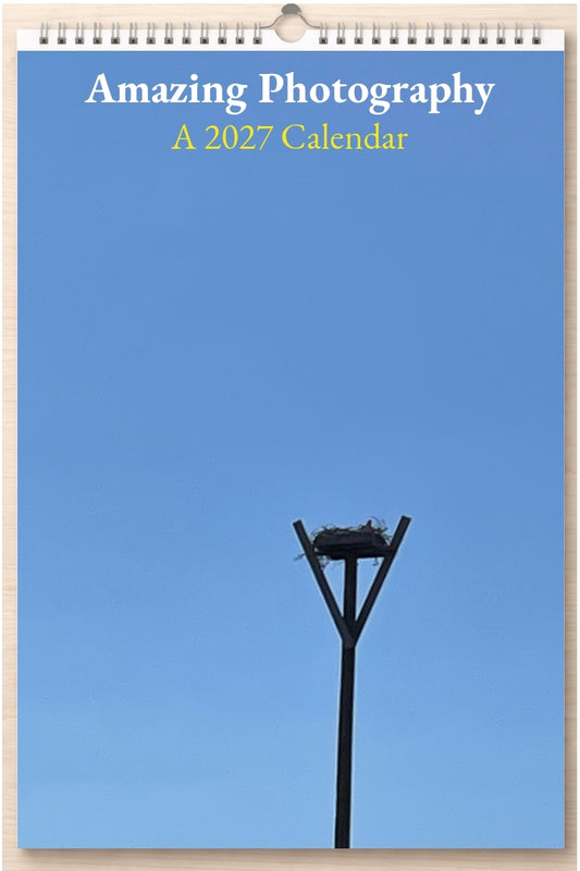 Amazing Photography: A 2027 Calendar