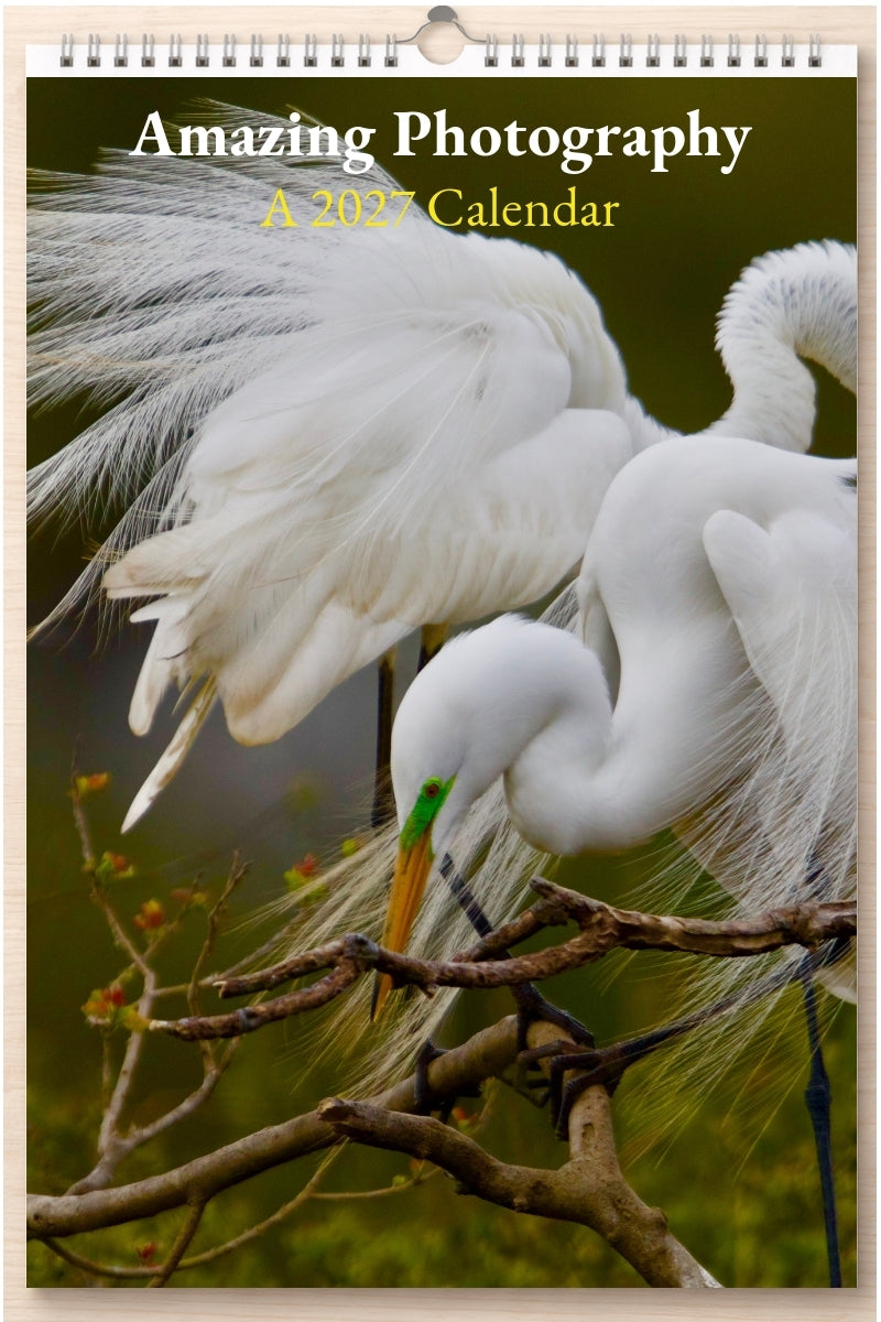 Amazing Photography: A 2027 Calendar