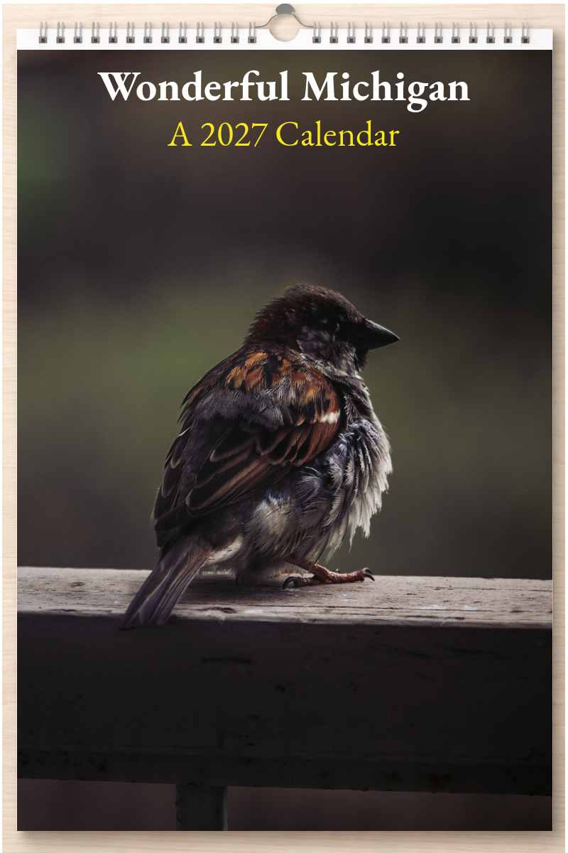 Wonderful Michigan: A 2027 Calendar