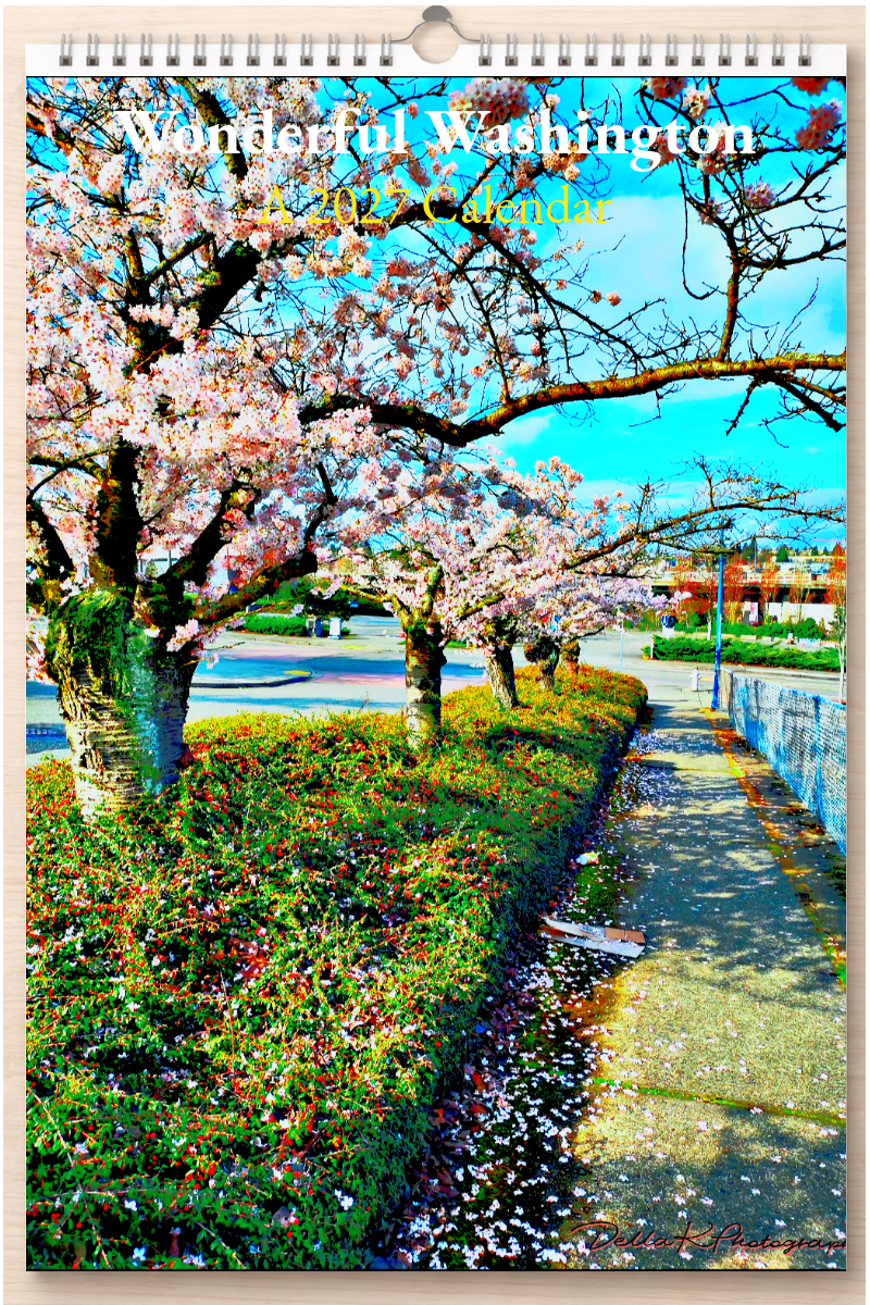 Wonderful Washington: A 2027 Calendar
