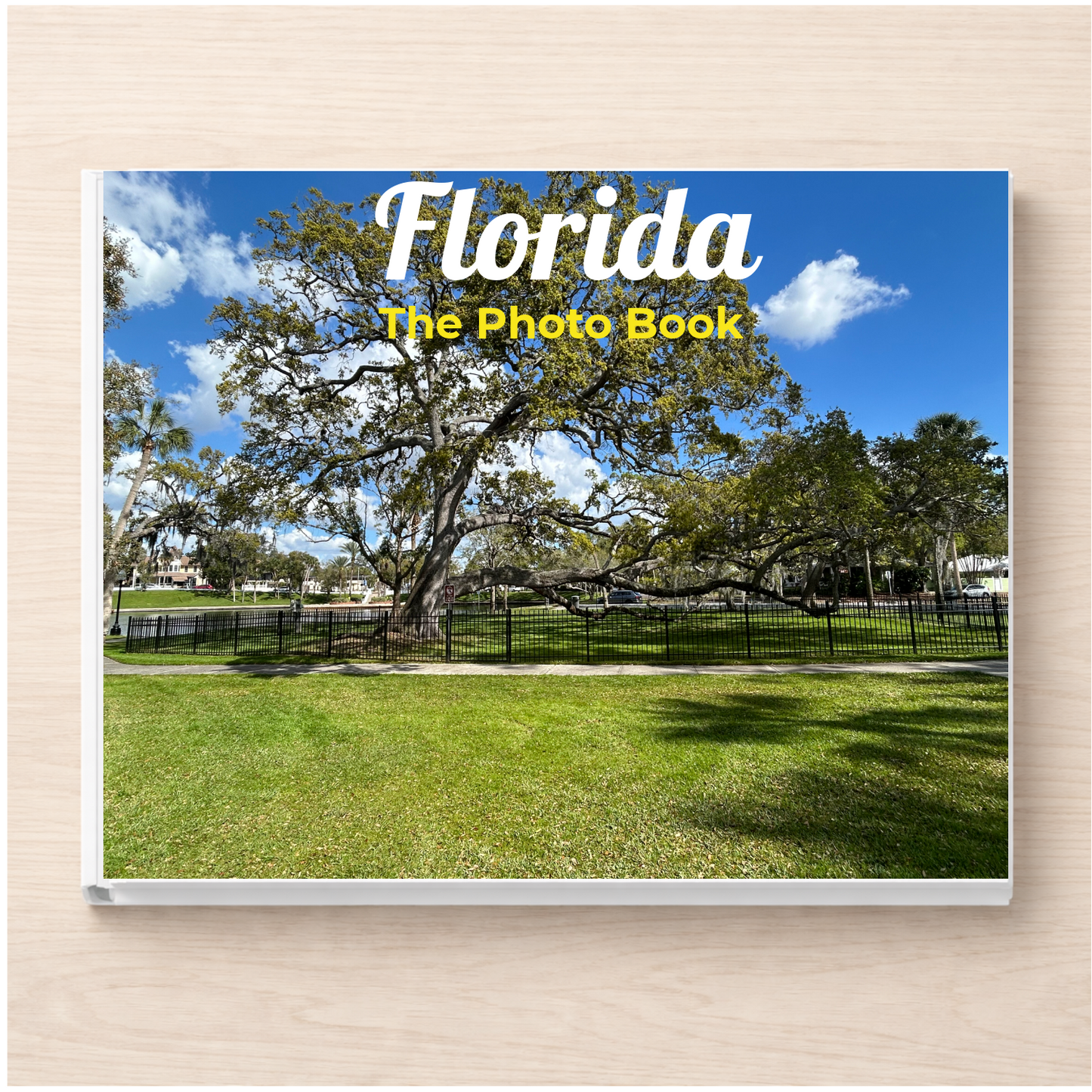 Florida: The Photo Book