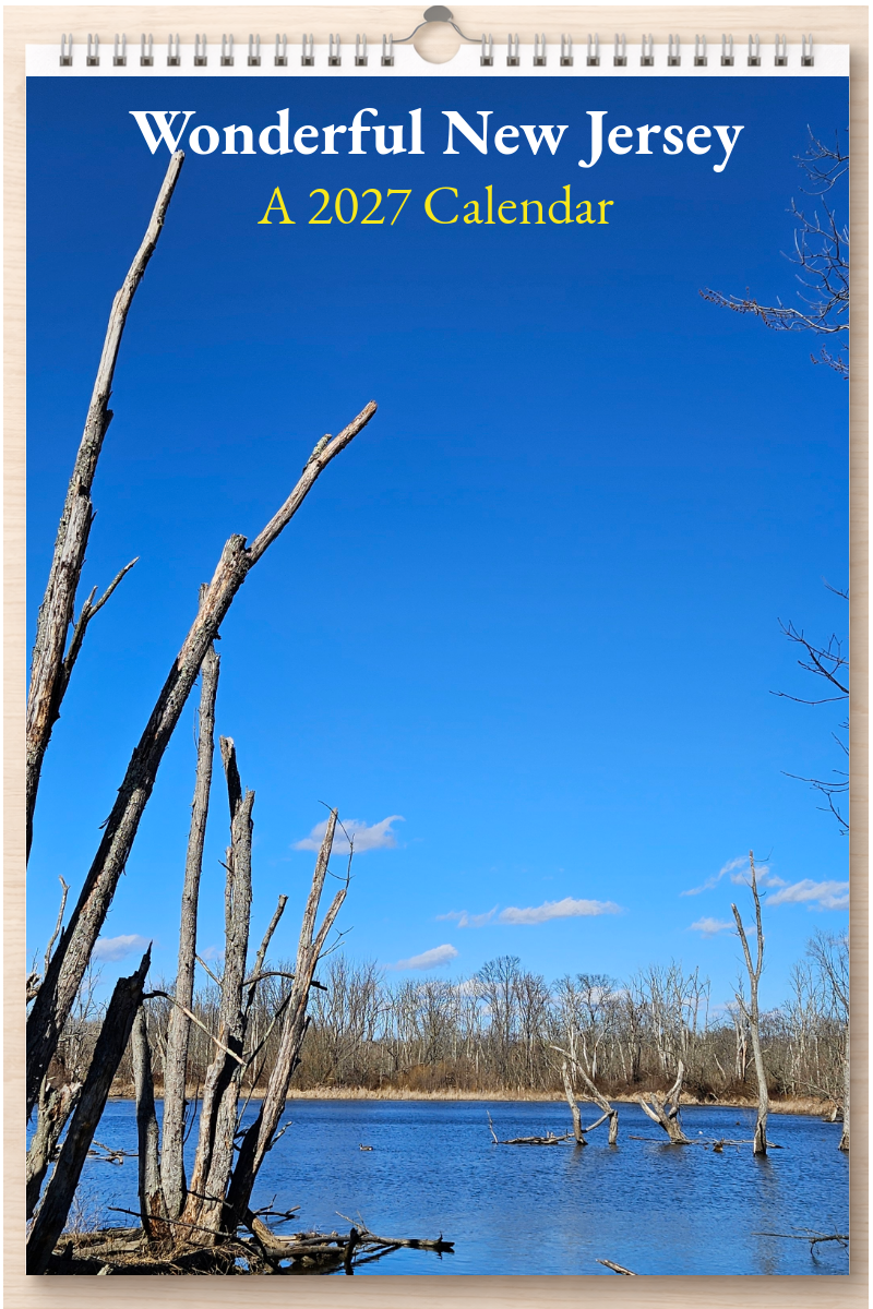 Wonderful New Jersey: A 2027 Calendar