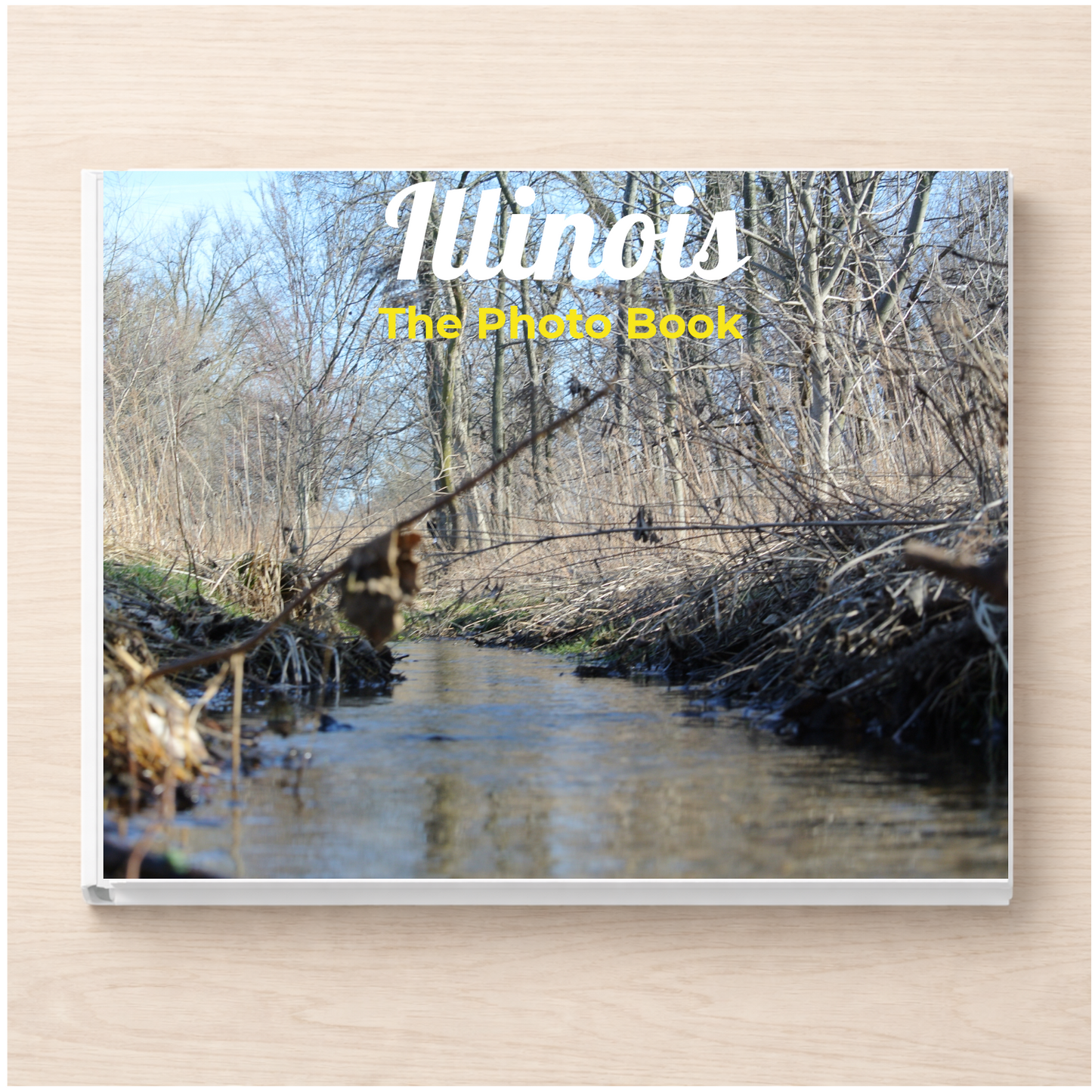 Illinois: The Photo Book