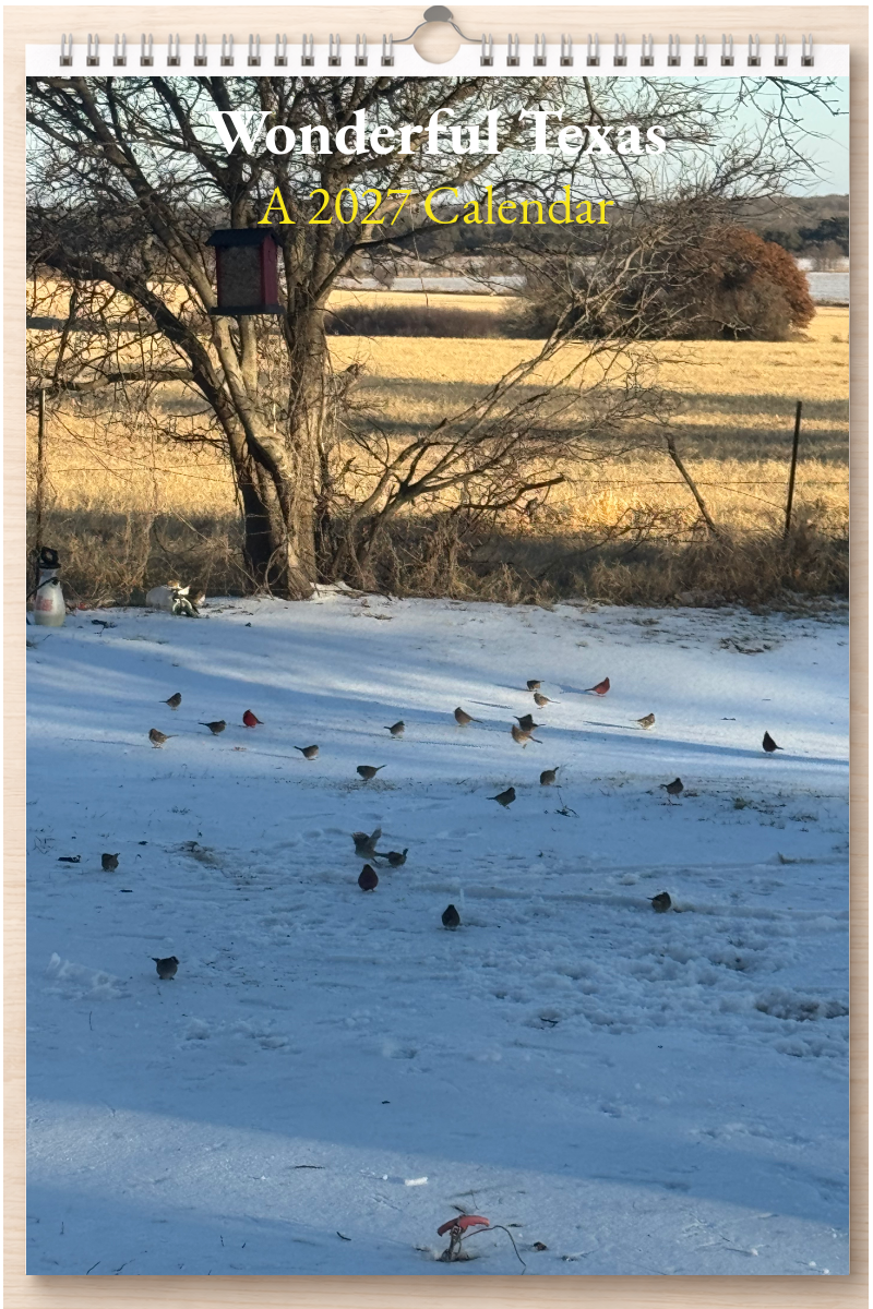Wonderful Texas: A 2027 Calendar