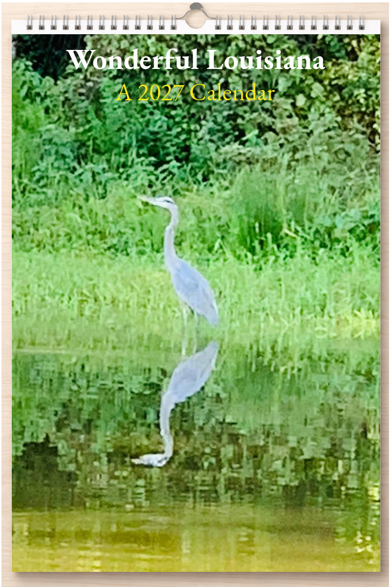 Wonderful Louisiana: A 2027 Calendar