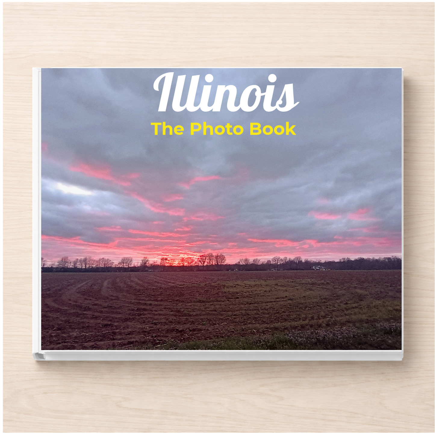 Illinois: The Photo Book