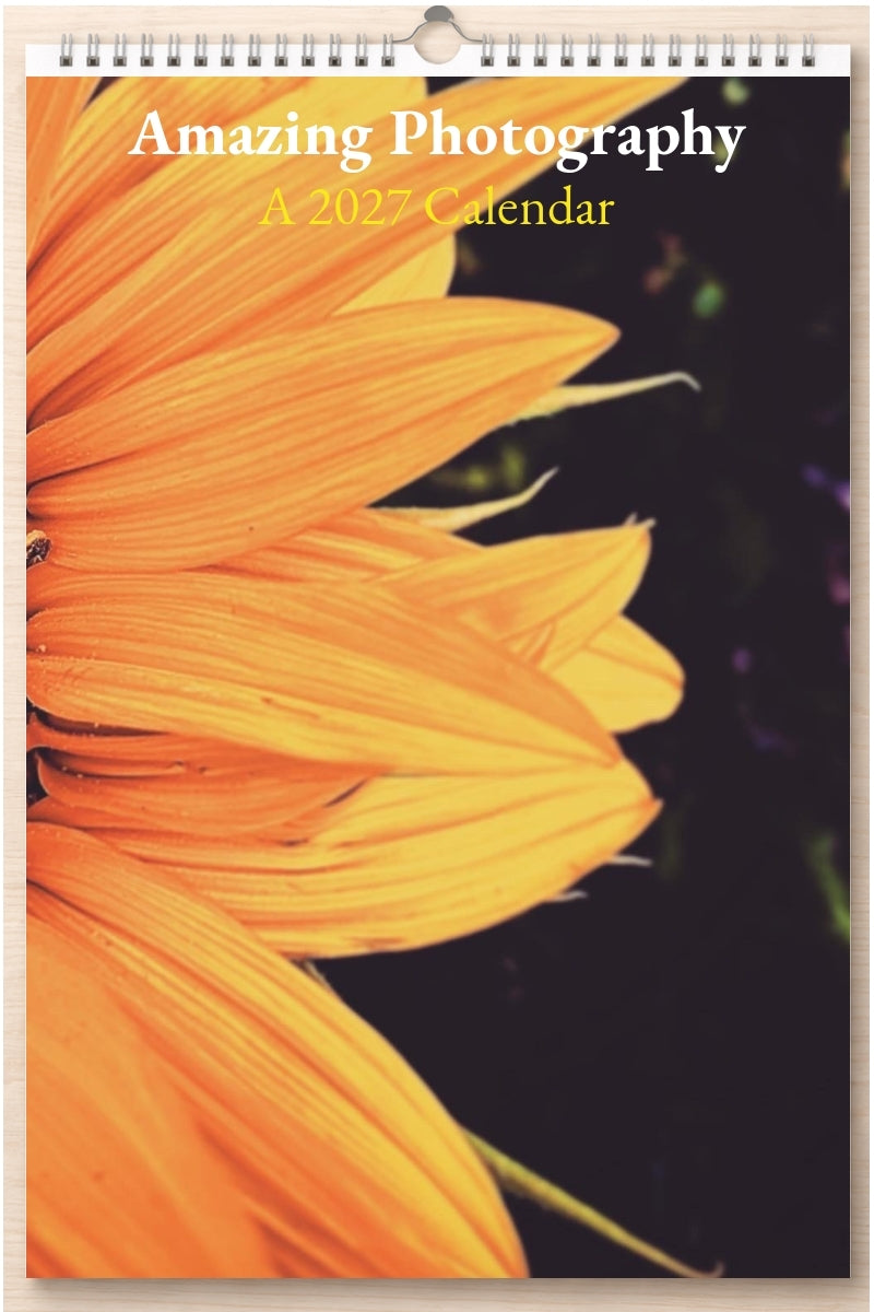 Amazing Photography: A 2027 Calendar