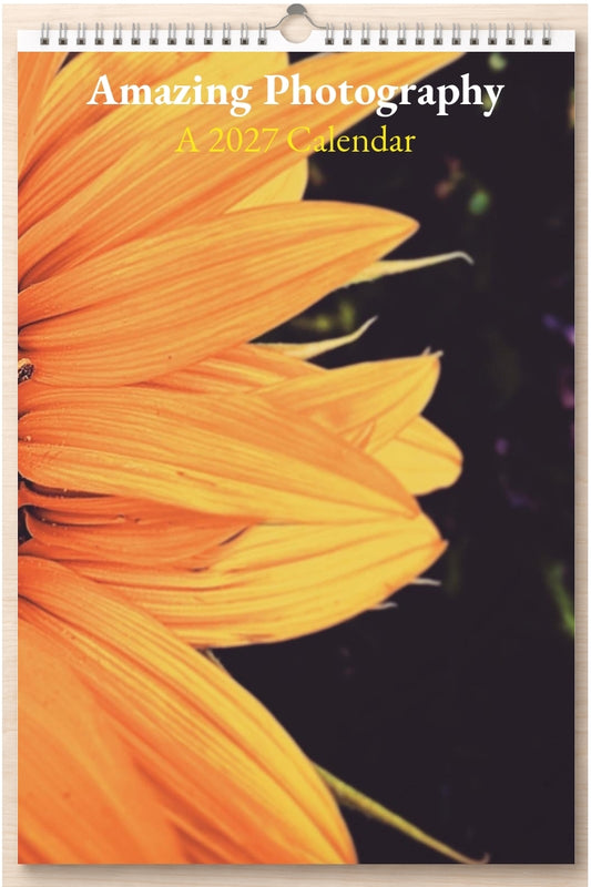 Amazing Photography: A 2027 Calendar
