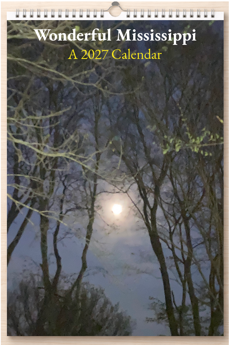 Wonderful Mississippi: A 2027 Calendar