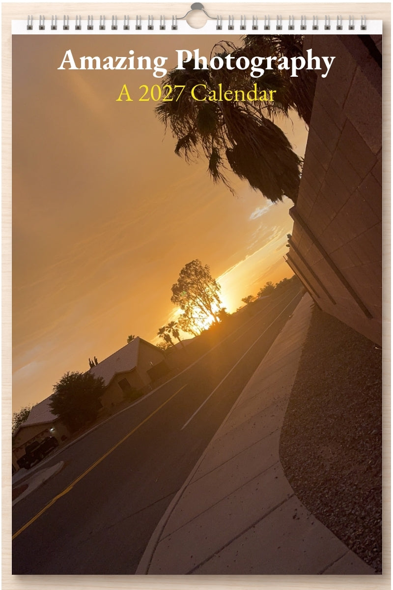 Amazing Photography: A 2027 Calendar