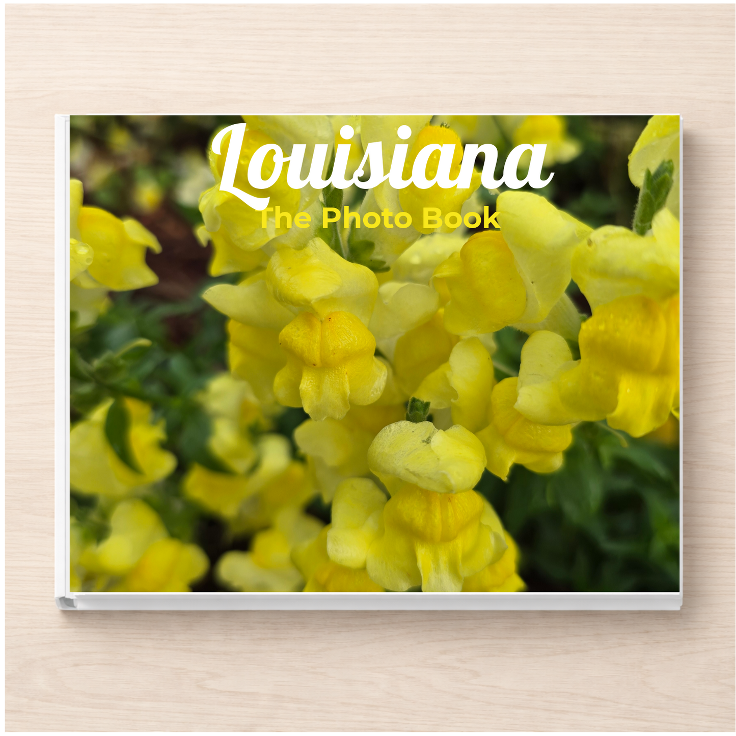 Louisiana: The Photo Book