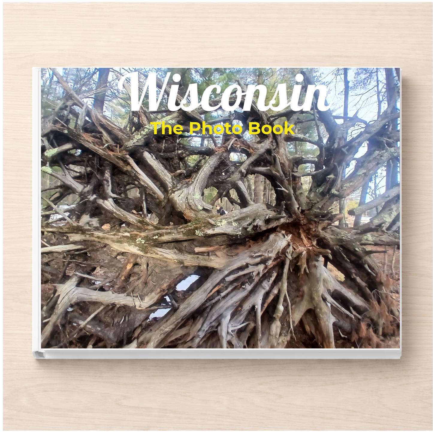 Wisconsin: The Photo Book