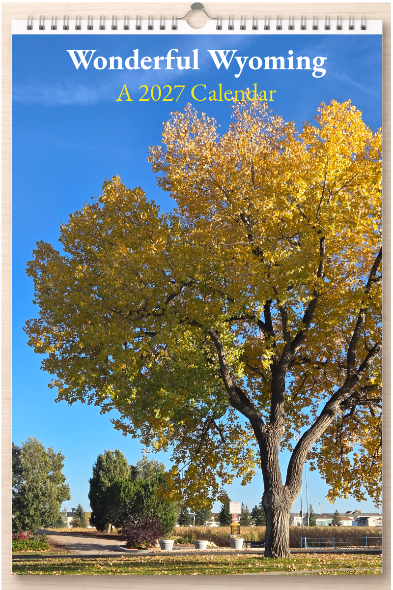Wonderful Wyoming: A 2027 Calendar