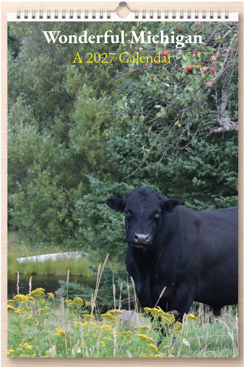 Wonderful Michigan: A 2027 Calendar