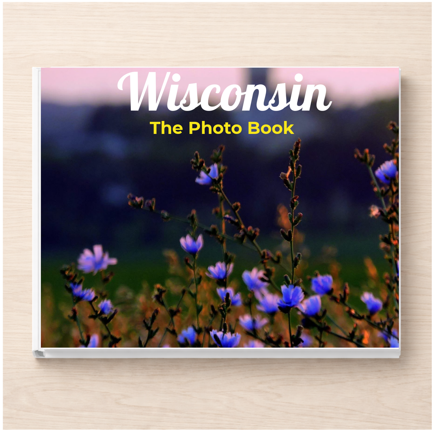 Wisconsin: The Photo Book