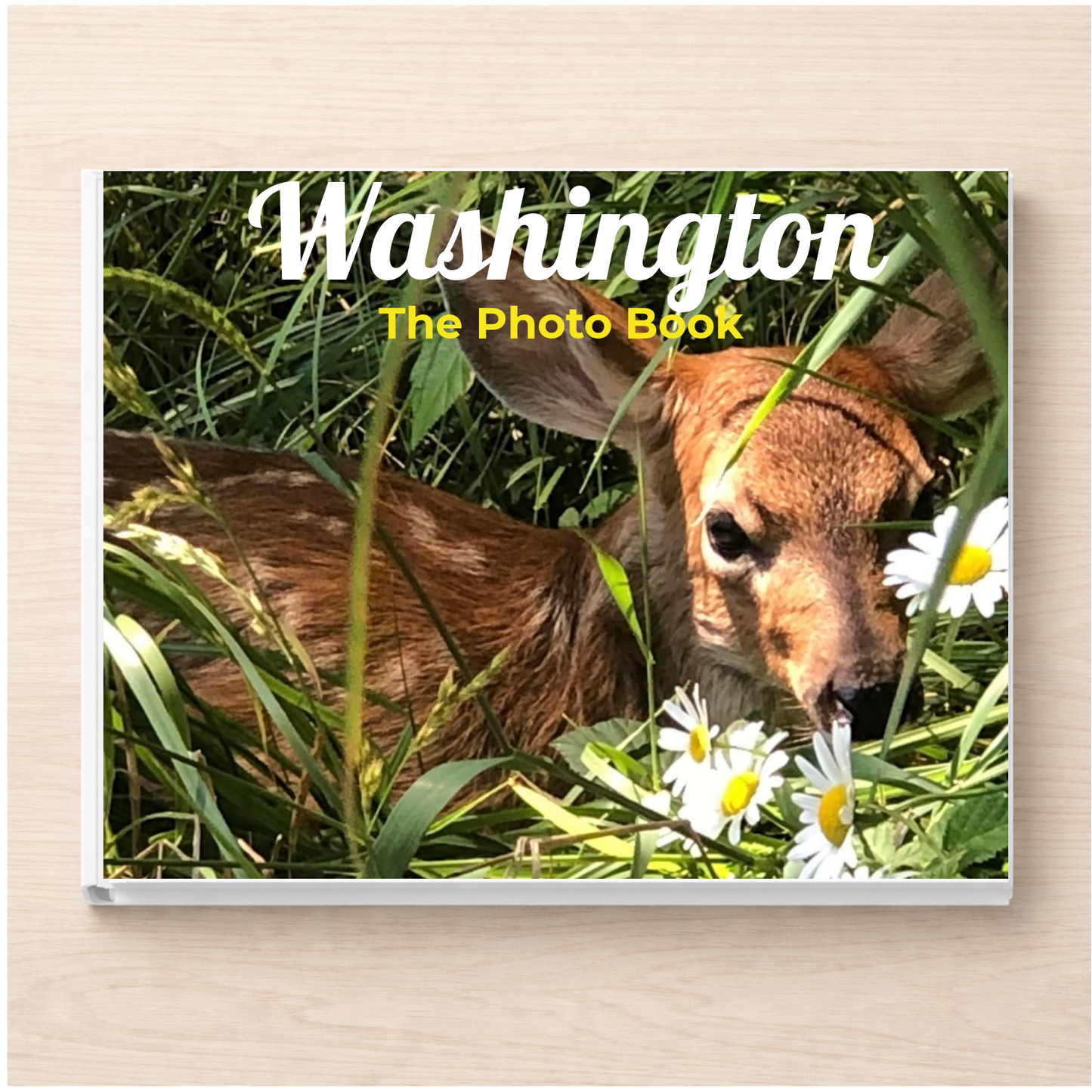 Washington: The Photo Book