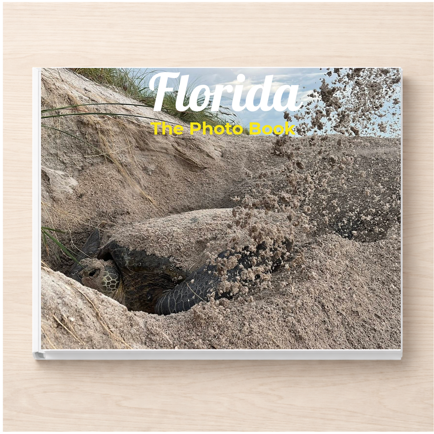 Florida: The Photo Book