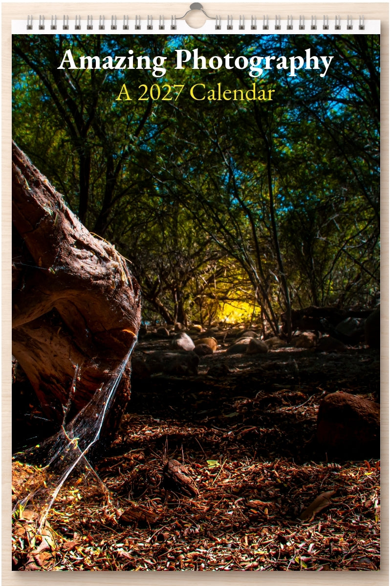 Amazing Photography: A 2027 Calendar