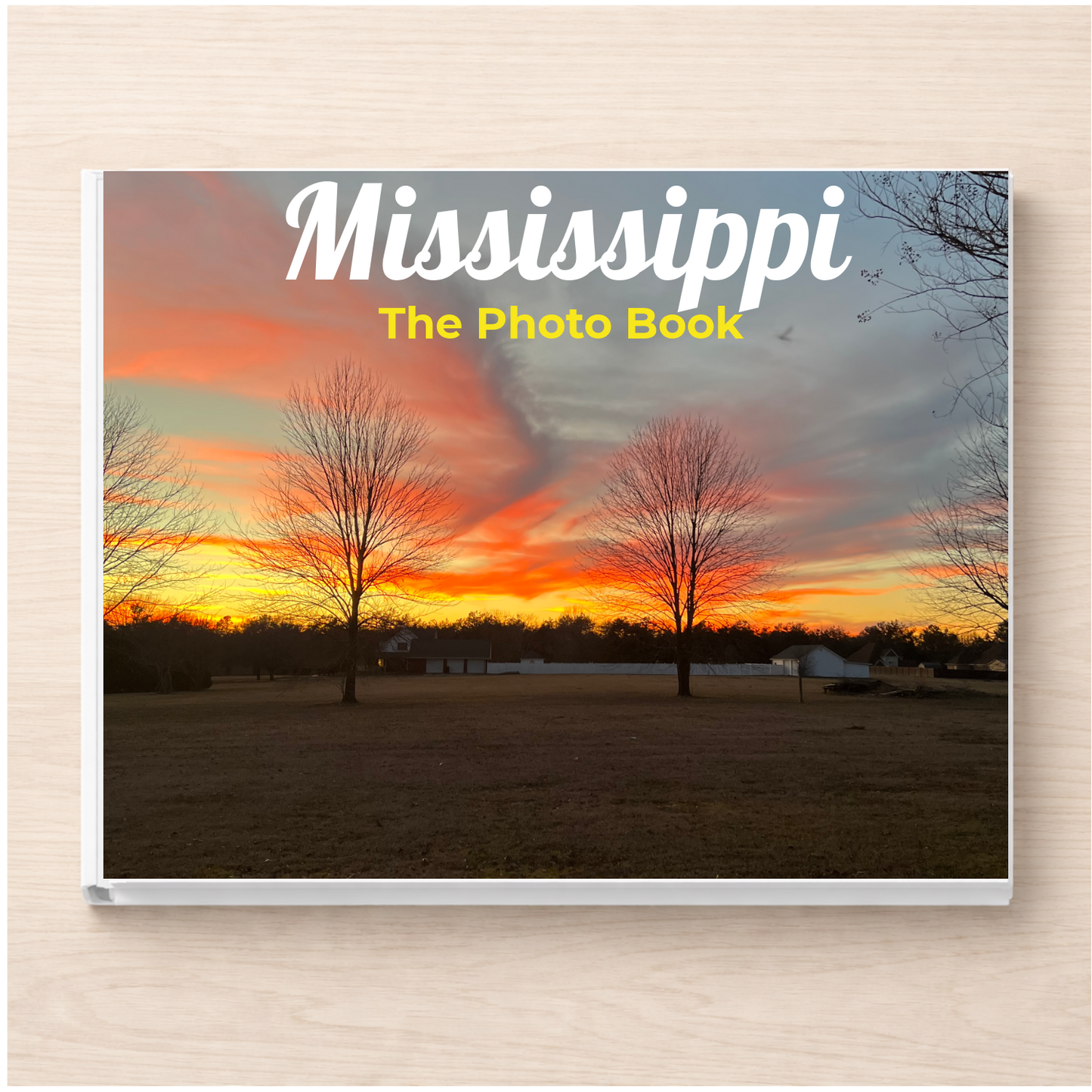 Mississippi: The Photo Book