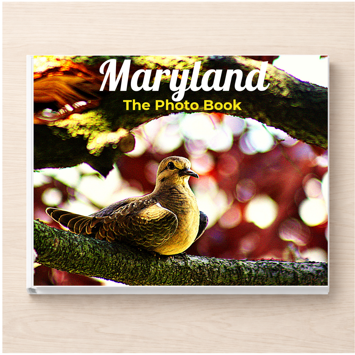 Maryland: The Photo Book