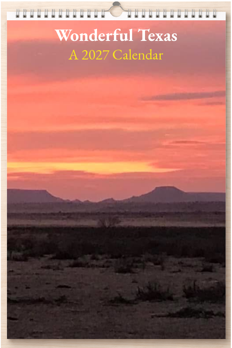 Wonderful Texas: A 2027 Calendar