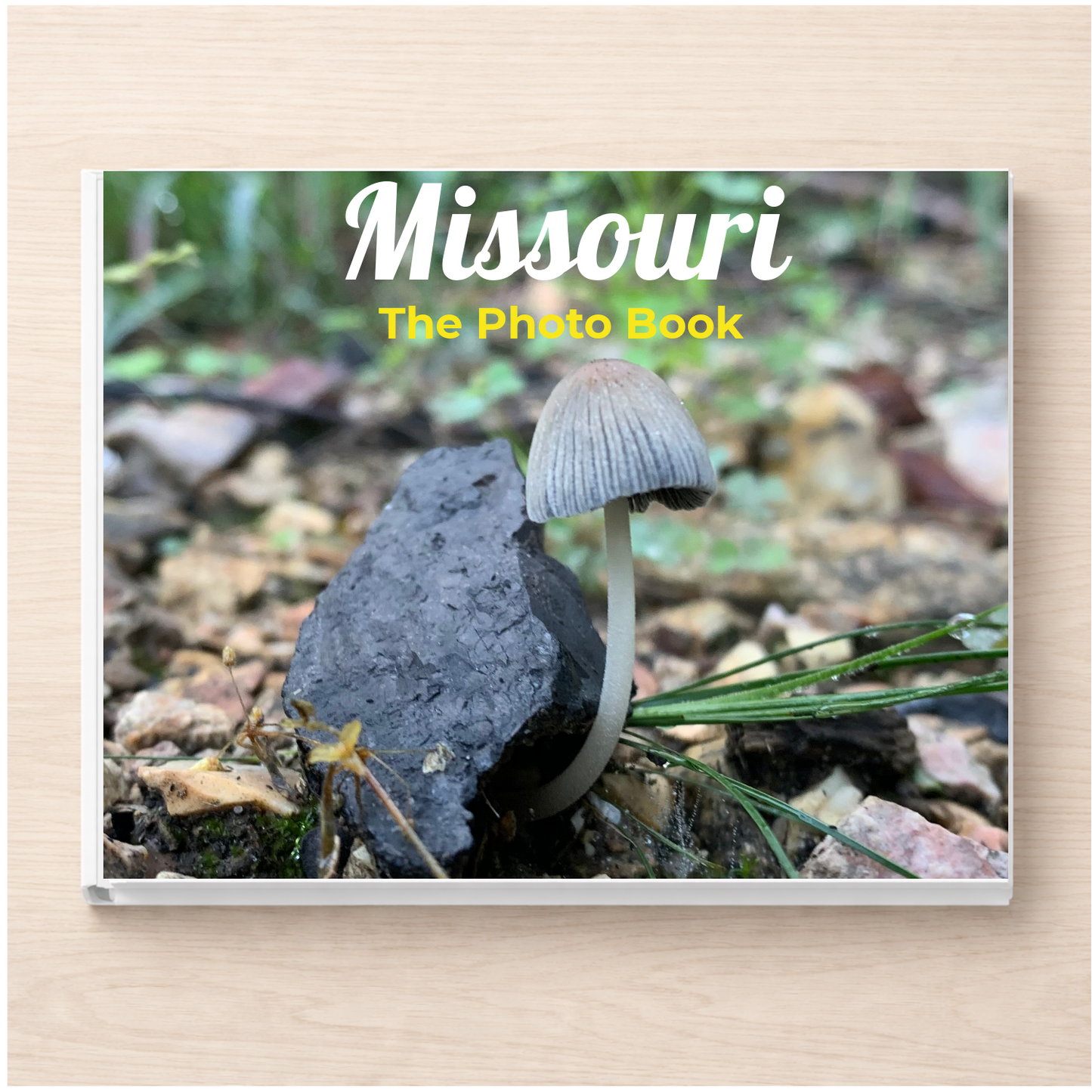 Missouri: The Photo Book
