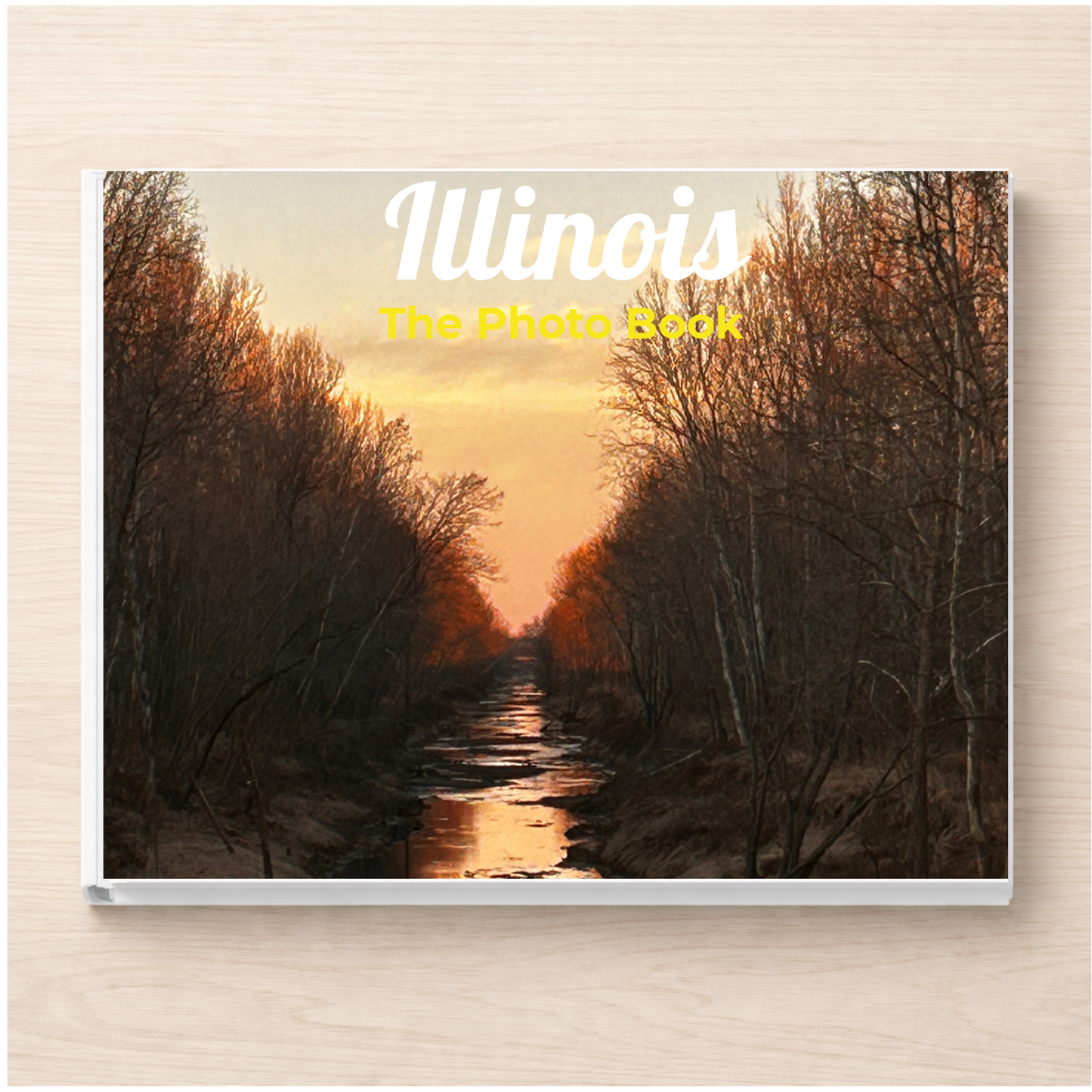 Illinois: The Photo Book