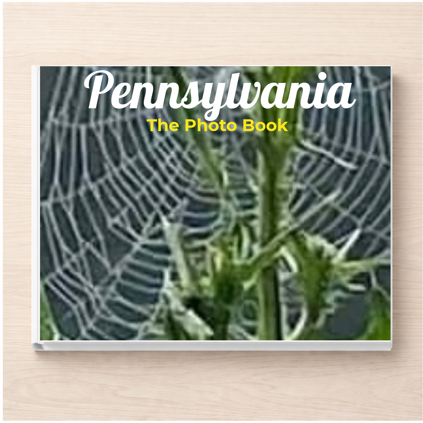 Pennsylvania: The Photo Book
