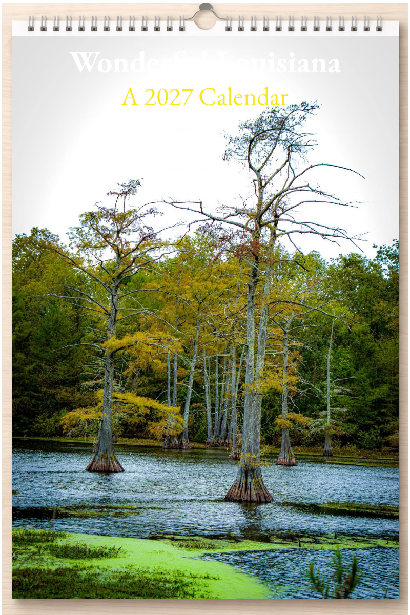 Wonderful Louisiana: A 2027 Calendar