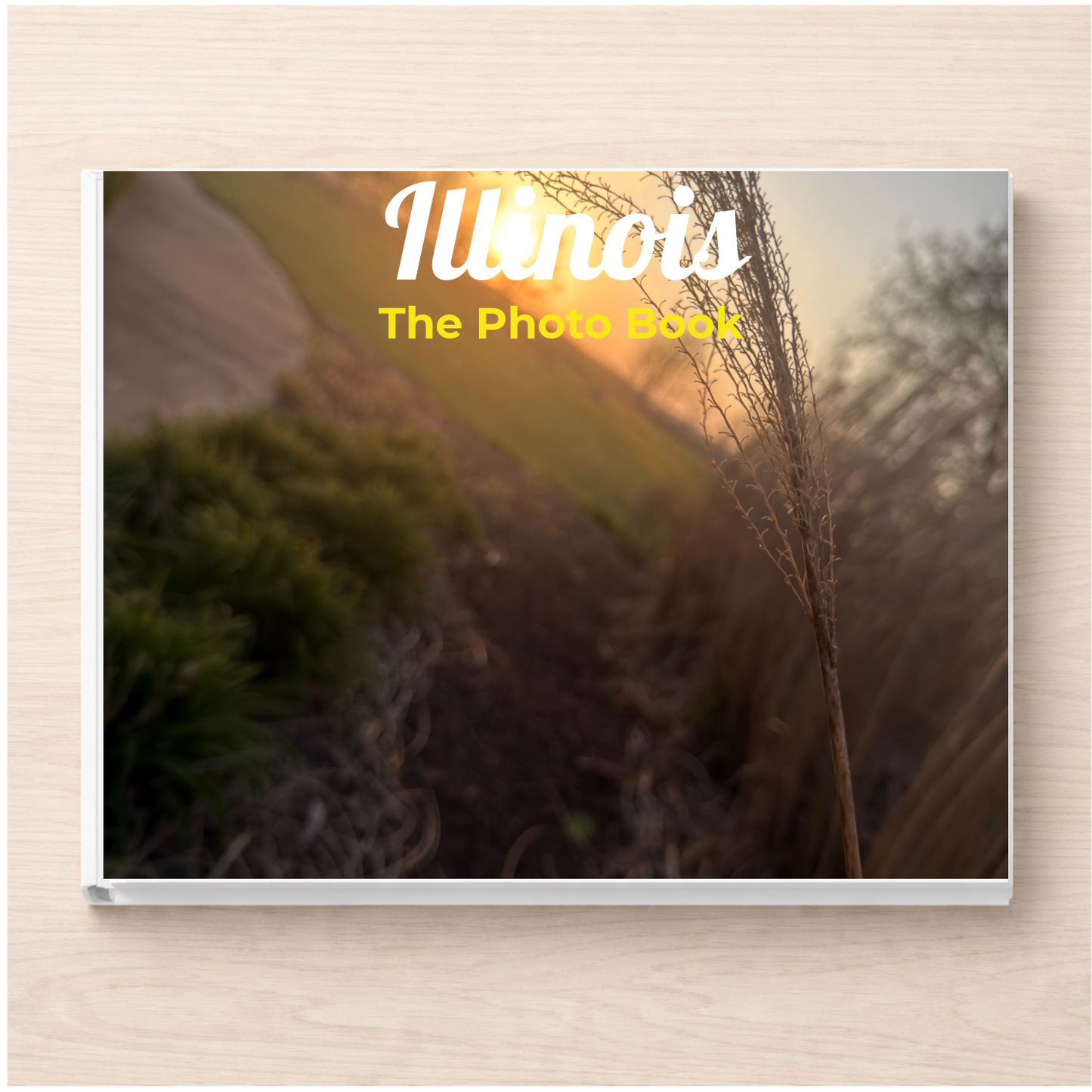 Illinois: The Photo Book