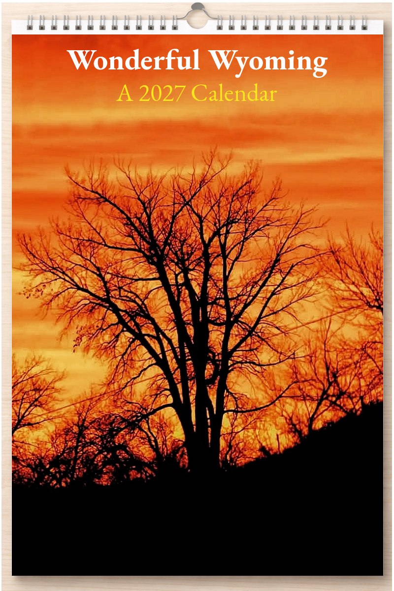 Wonderful Wyoming: A 2027 Calendar