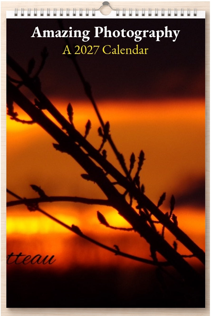 Amazing Photography: A 2027 Calendar