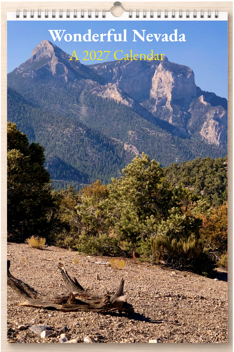 Wonderful Nevada: A 2027 Calendar