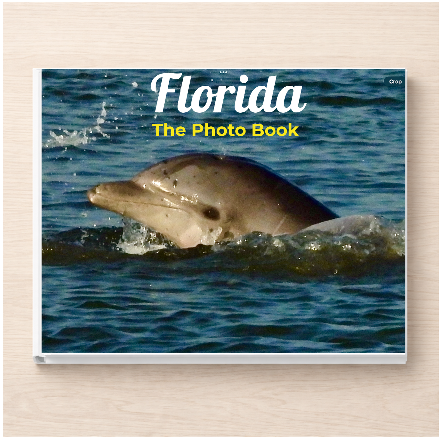Florida: The Photo Book