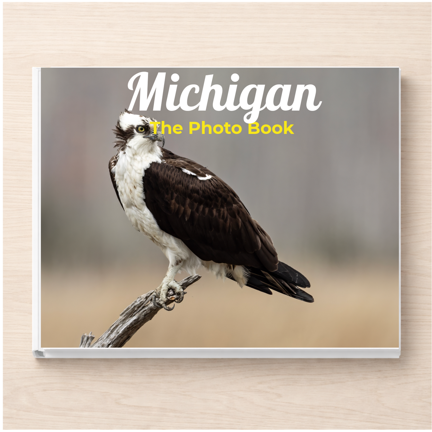 Michigan: The Photo Book