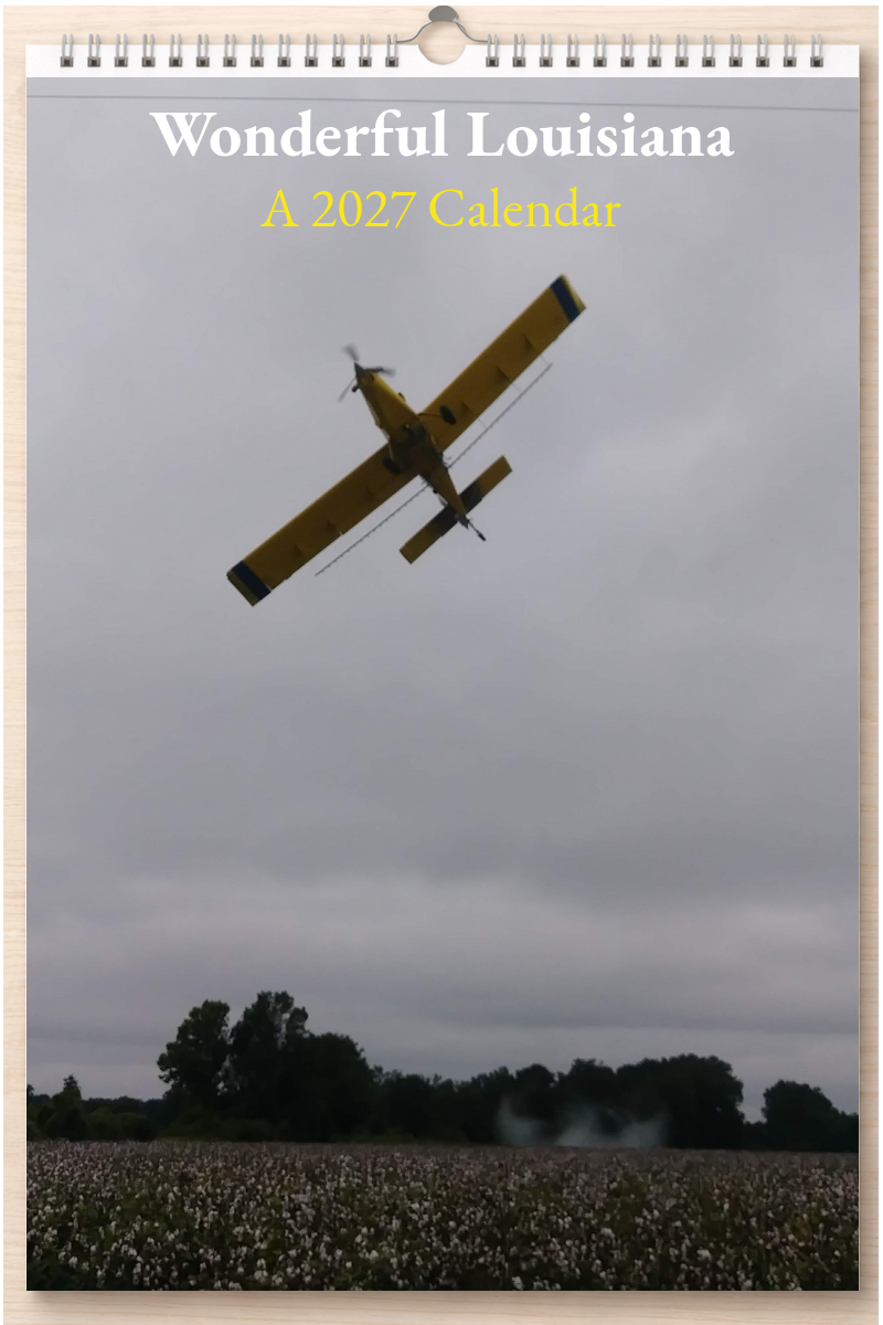 Wonderful Louisiana: A 2027 Calendar