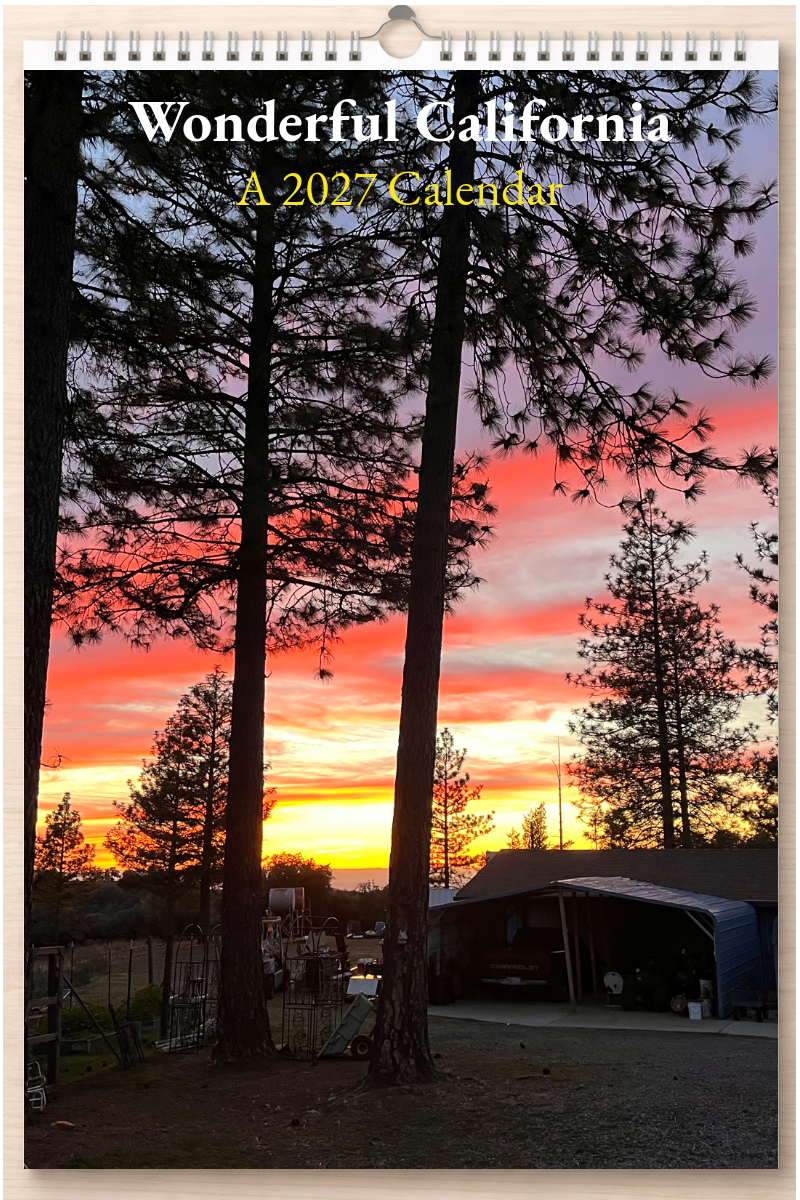 Wonderful California: A 2027 Calendar