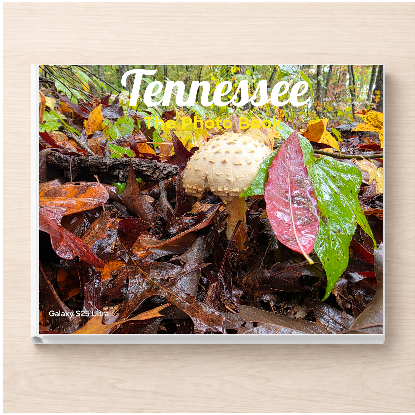 Tennessee: The Photo Book