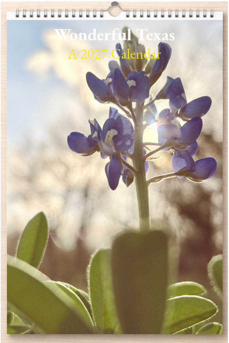 Wonderful Texas: A 2027 Calendar
