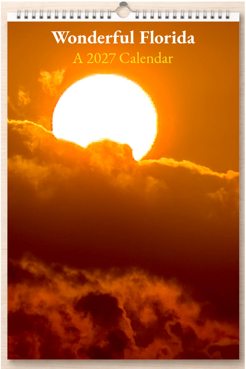 Wonderful Florida: A 2027 Calendar