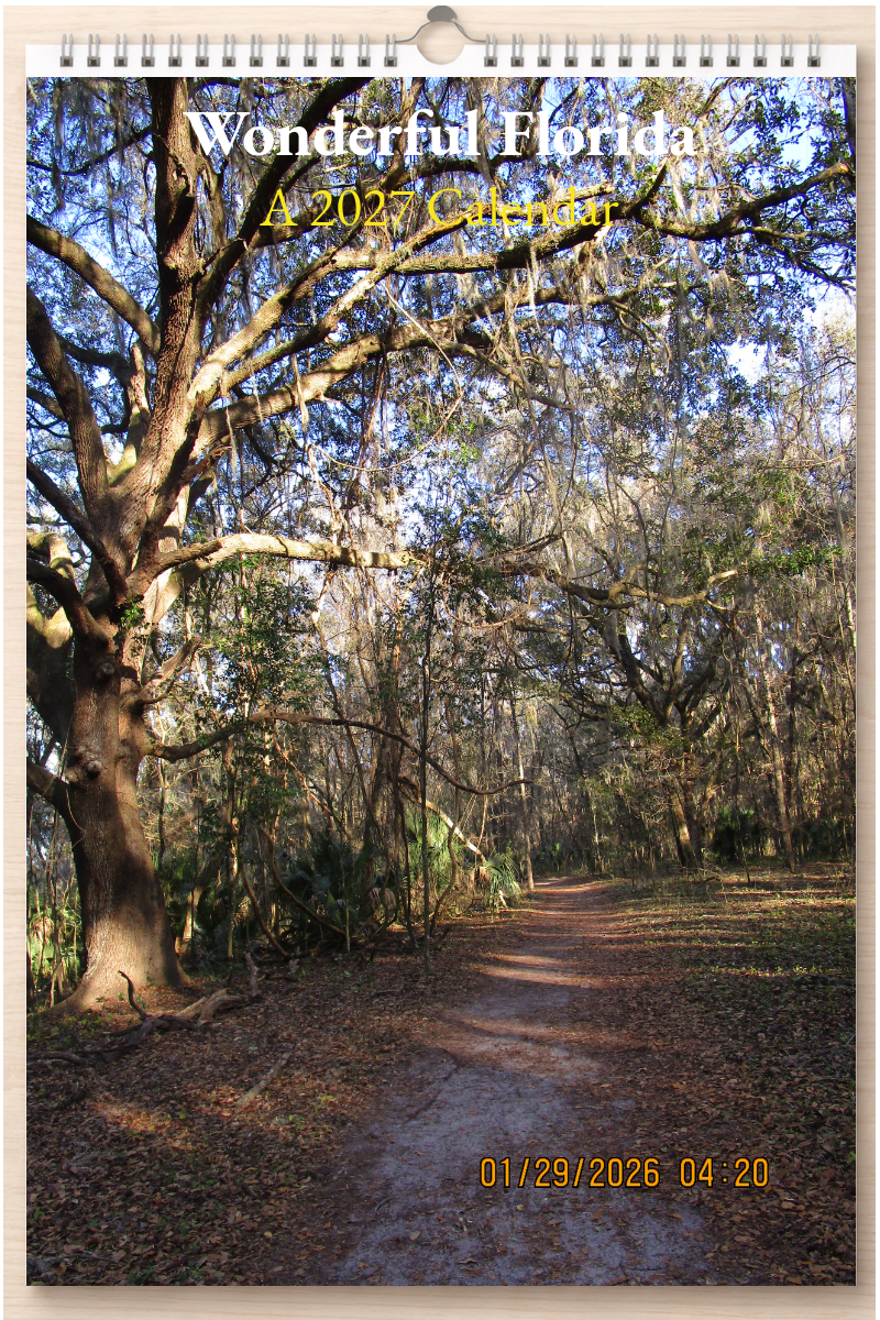 Wonderful Florida: A 2027 Calendar