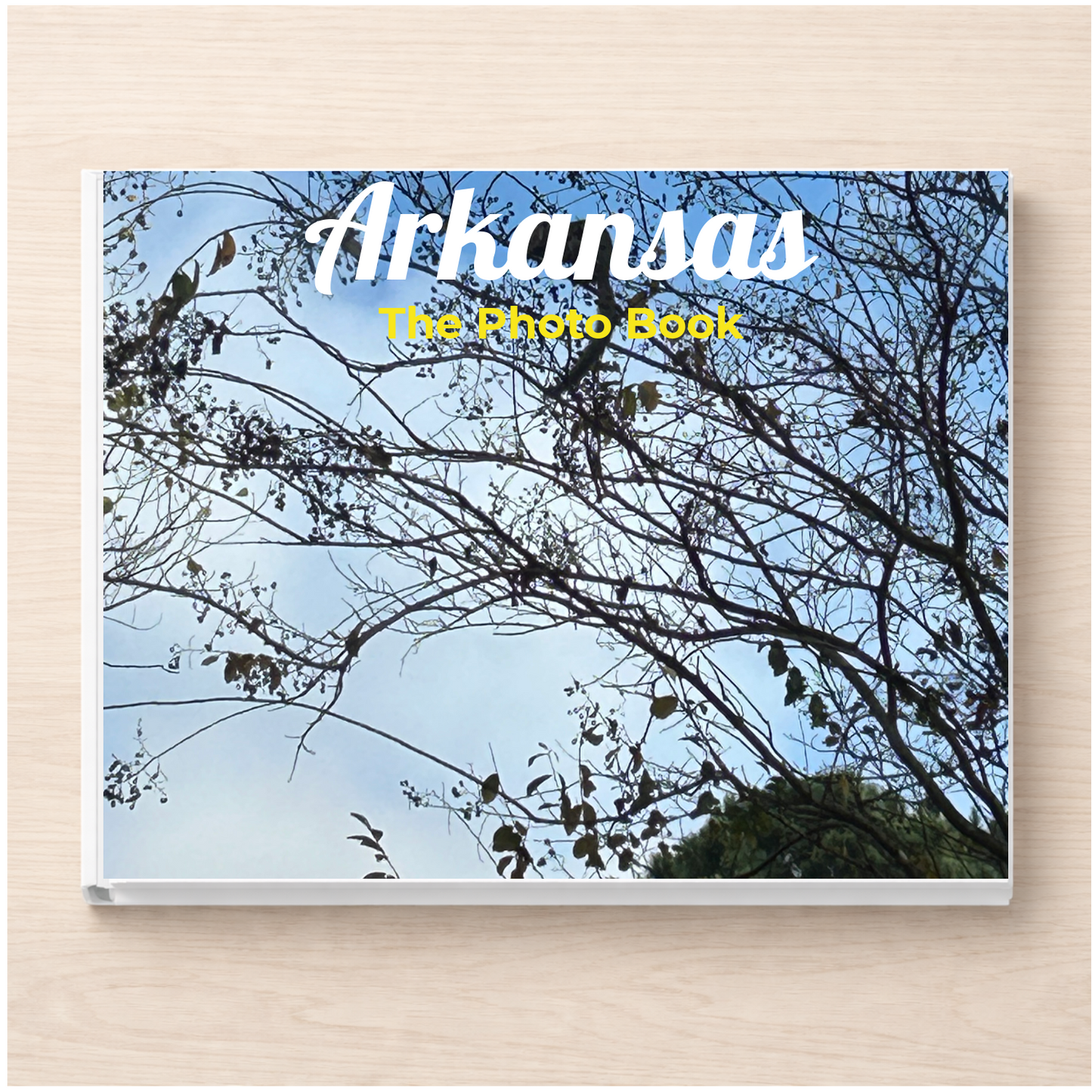 Arkansas: The Photo Book